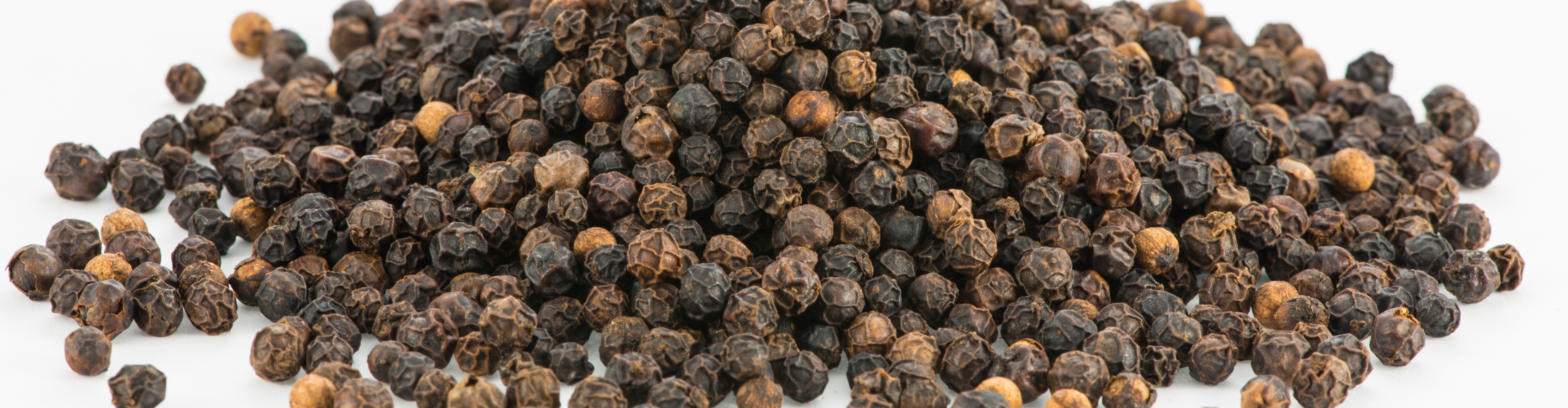 Black Pepper cropped